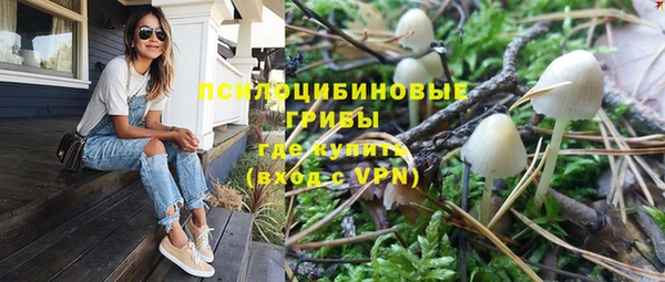 гашик Абинск