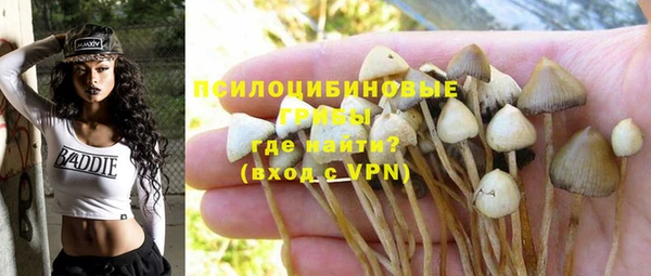 гашик Абинск