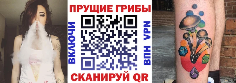 наркотики  Новотитаровская  Галлюциногенные грибы мицелий 